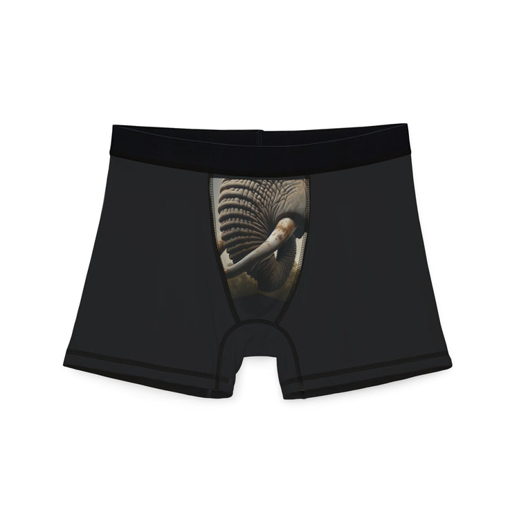 Fun and Sexy Boxers for Men